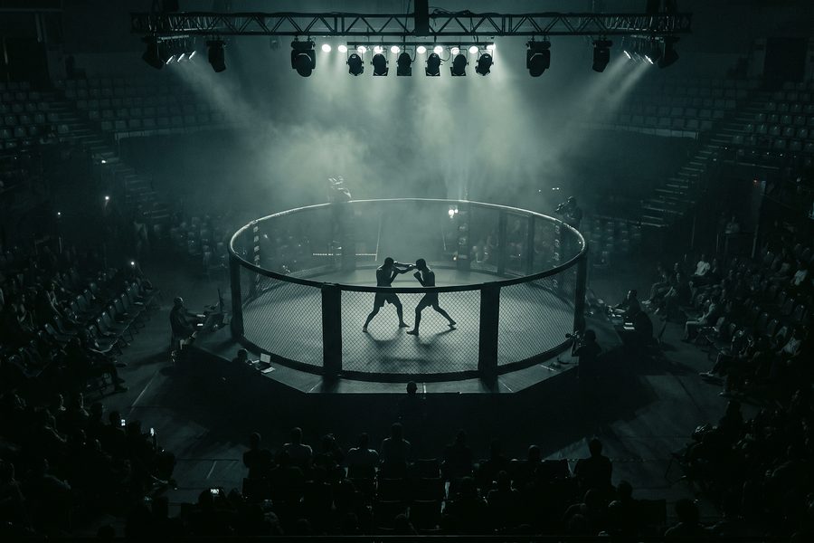 UFC & fight nights